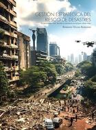 GESTION ESTRATEGICA DEL RIESGO DE DESASTRES
