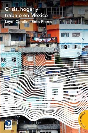 CRISIS HOGAR Y TRABAJO EN MEXICO